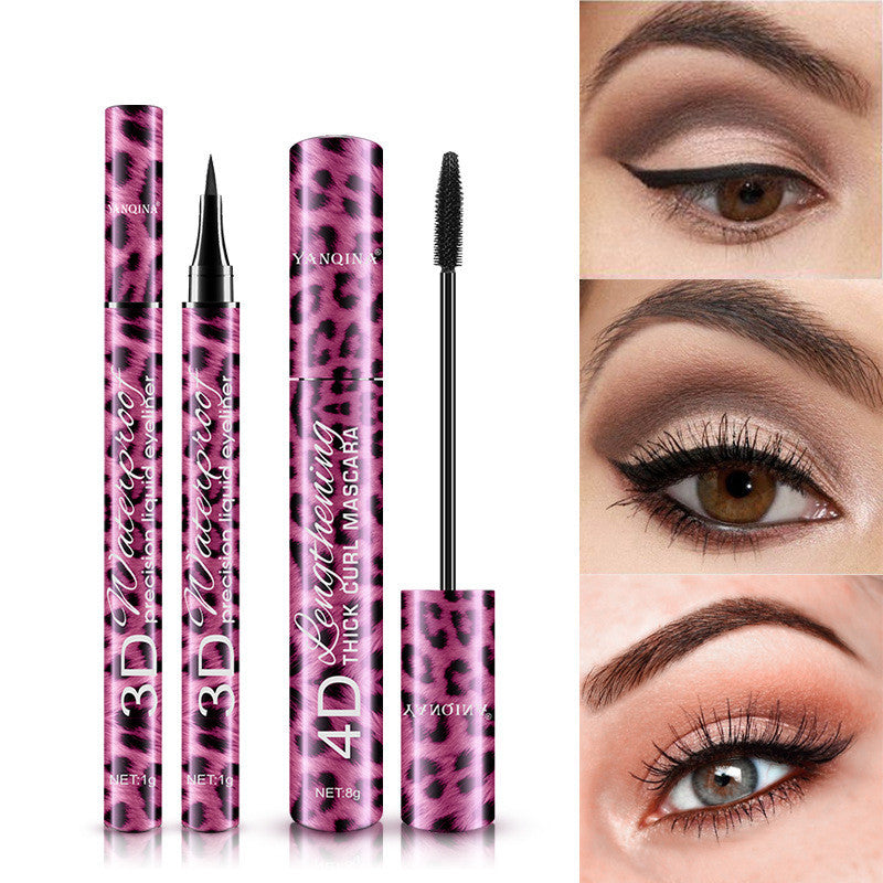 Mascara Eyeliner Makeup Set