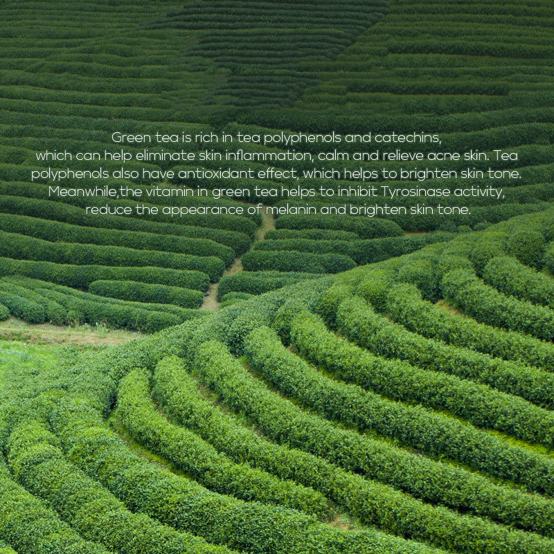 Green Tea Toner Skin Care Products