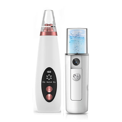 Facial LED Beauty Instrument